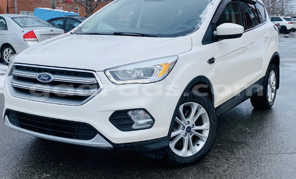 Acheter Import Voiture Ford Escape Blanc à Dakar, Dakar