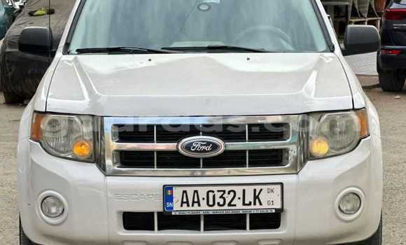 Acheter Occasion Voiture Ford Escape Blanc à Dakar, Dakar Acheter Occasion Voiture Ford Escape Blanc à Dakar, Dakar