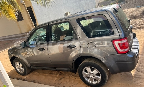 Acheter Occasion Voiture FORD MUSTANG Gris à Dakar, Dakar