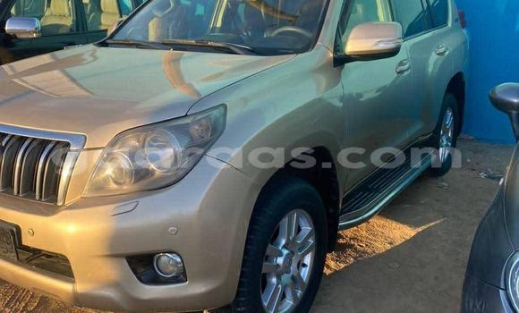 Acheter Occasion Voiture Toyota Land Cruiser Prado Marron à Dakar, Dakar