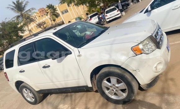 Dieundeu Occasion Ford Escape White Auto in Dakar in Dakar Dieundeu Occasion Ford Escape White Auto in Dakar in Dakar