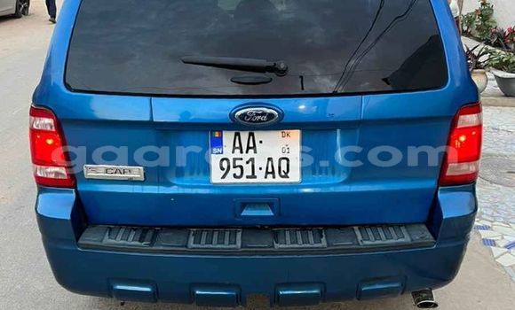Buy Used Ford Escape Blue Car in Dakar in Dakar Buy Used Ford Escape Blue Car in Dakar in Dakar