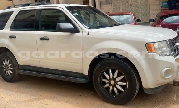 Acheter Occasion Voiture Ford Escape Blanc à Dakar, Dakar