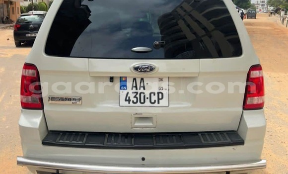 Acheter Occasion Voiture Ford Escape Blanc à Dakar, Dakar Acheter Occasion Voiture Ford Escape Blanc à Dakar, Dakar