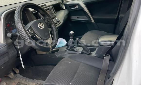 Dieundeu Beess Toyota RAV4 White Auto in Dakar in Dakar Dieundeu Beess Toyota RAV4 White Auto in Dakar in Dakar