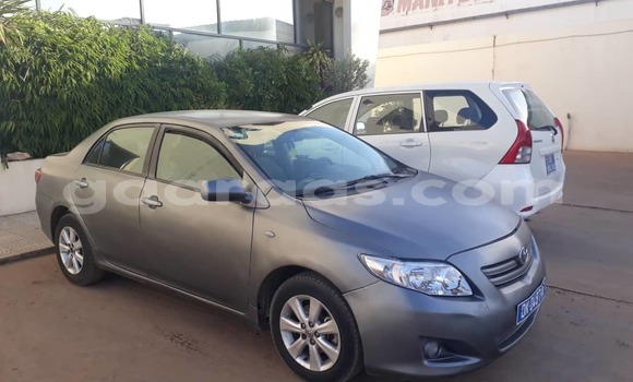 Dieundeu Occasion Toyota Corolla Blue Auto in Dakar in Dakar Dieundeu Occasion Toyota Corolla Blue Auto in Dakar in Dakar