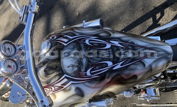Buy Used Big Bear Choppers Bear Bones Silver Bike in Dakar in Dakar Buy Used Big Bear Choppers Bear Bones Silver Bike in Dakar in Dakar