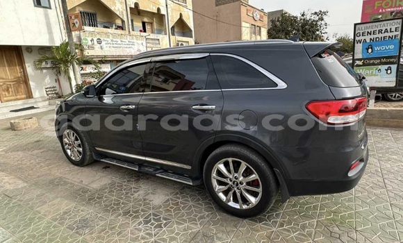 Buy Import Kia Sorento Blue Car in Dakar in Dakar