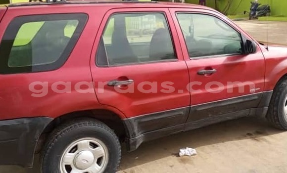 Dieundeu Occasion Ford Escape Red Auto in Dakar in Dakar Dieundeu Occasion Ford Escape Red Auto in Dakar in Dakar