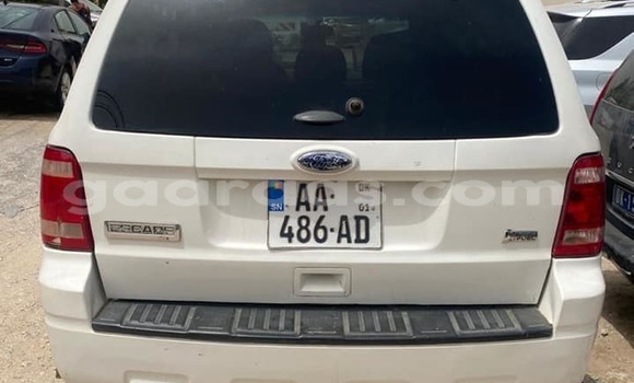 Acheter Occasion Voiture Ford Escape Blanc à Dakar, Dakar