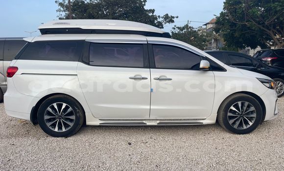 Buy Import Kia Carnival White Car in Dakar in Dakar Buy Import Kia Carnival White Car in Dakar in Dakar