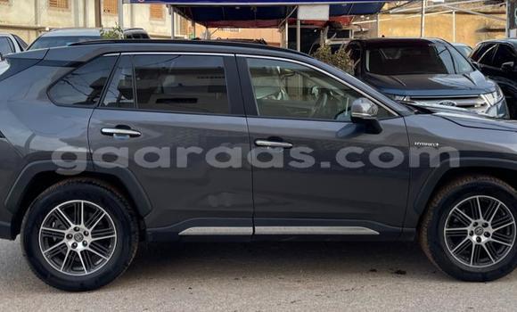 Acheter Import Voiture Toyota RAV4 Gris à Dakar, Dakar Acheter Import Voiture Toyota RAV4 Gris à Dakar, Dakar