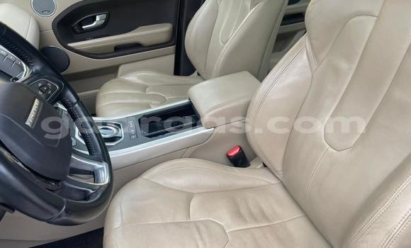 Buy Import Range Rover Evoque White Car in Dakar in Dakar Buy Import Range Rover Evoque White Car in Dakar in Dakar