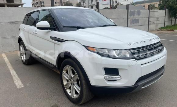 Buy Import Range Rover Evoque White Car in Dakar in Dakar Buy Import Range Rover Evoque White Car in Dakar in Dakar