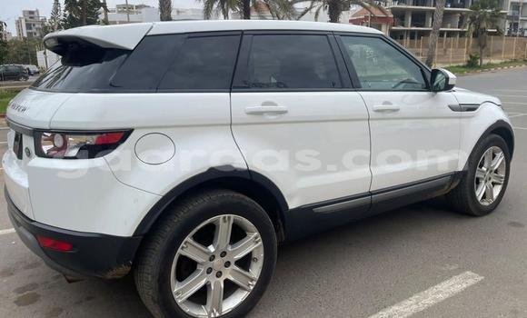 Buy Import Range Rover Evoque White Car in Dakar in Dakar Buy Import Range Rover Evoque White Car in Dakar in Dakar