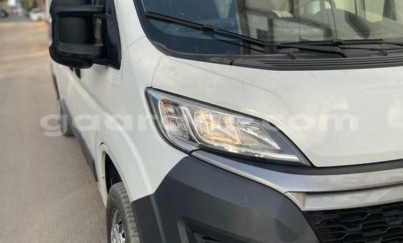 Dieundeu Occasion Citroen Jumpy White Auto in Dakar in Dakar Dieundeu Occasion Citroen Jumpy White Auto in Dakar in Dakar