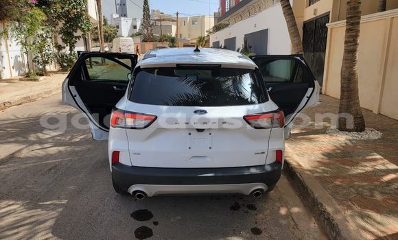 Buy New Ford Escape White Car in Dakar in Dakar Buy New Ford Escape White Car in Dakar in Dakar