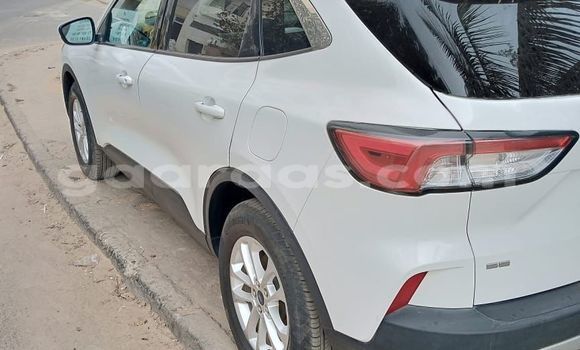 Buy New Ford Escape White Car in Dakar in Dakar Buy New Ford Escape White Car in Dakar in Dakar