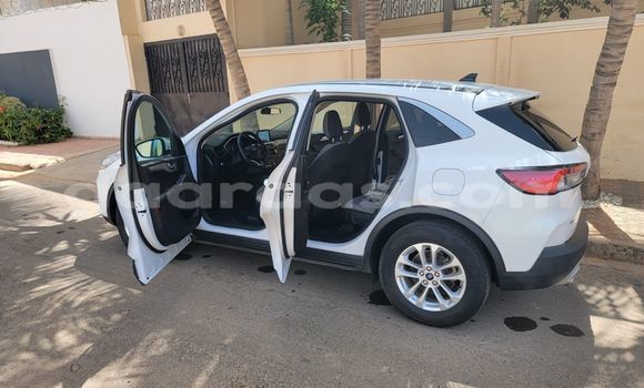 Buy New Ford Escape White Car in Dakar in Dakar Buy New Ford Escape White Car in Dakar in Dakar