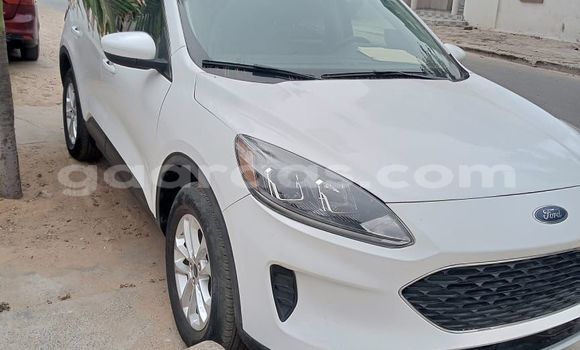 Buy New Ford Escape White Car in Dakar in Dakar Buy New Ford Escape White Car in Dakar in Dakar
