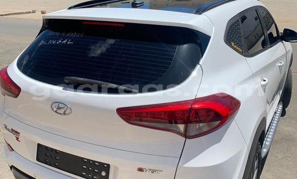 Acheter Occasion Voiture Hyundai Tucson Blanc à Rufisque, Dakar