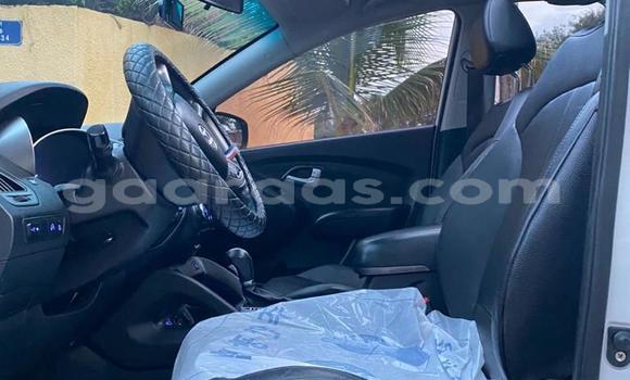 Buy Used Hyundai Tucson White Car in Rufisque in Dakar Buy Used Hyundai Tucson White Car in Rufisque in Dakar