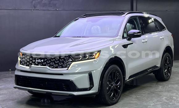 Buy Import Kia Sorento White Car in Dakar in Dakar Buy Import Kia Sorento White Car in Dakar in Dakar