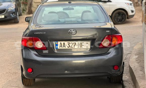 Dieundeu Occasion Toyota Corolla Silver Auto in Dakar in Dakar