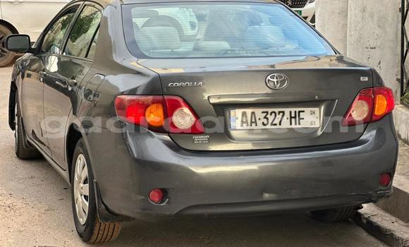 Dieundeu Occasion Toyota Corolla Silver Auto in Dakar in Dakar Dieundeu Occasion Toyota Corolla Silver Auto in Dakar in Dakar