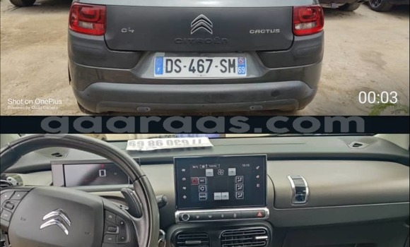 Buy Import Citroen C4 Cactus Silver Car in Dakar in Dakar