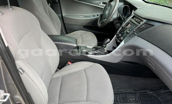 Acheter Occasion Voiture Hyundai Sonata Gris à Dakar, Dakar Acheter Occasion Voiture Hyundai Sonata Gris à Dakar, Dakar