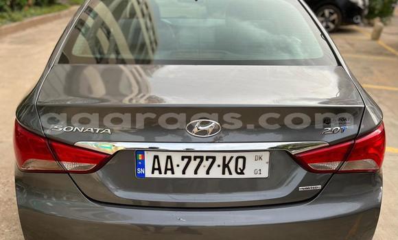 Acheter Occasion Voiture Hyundai Sonata Gris à Dakar, Dakar Acheter Occasion Voiture Hyundai Sonata Gris à Dakar, Dakar