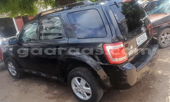Buy Used Ford Escape Black Car in Dakar in Dakar Buy Used Ford Escape Black Car in Dakar in Dakar
