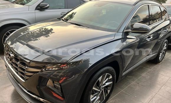 Acheter Import Voiture Hyundai Tucson Gris à Dakar, Dakar Acheter Import Voiture Hyundai Tucson Gris à Dakar, Dakar