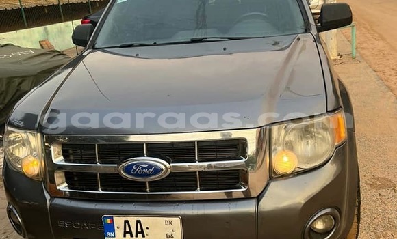 Dieundeu Occasion Ford Escape Other Auto in Dahra in Louga