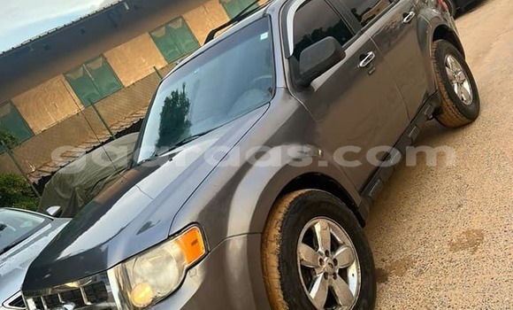 Acheter Occasion Voiture Ford Escape Autre à Dahra, Louga Acheter Occasion Voiture Ford Escape Autre à Dahra, Louga
