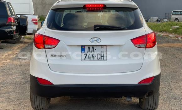 Acheter Occasion Voiture Hyundai Tucson Blanc à Dakar, Dakar Acheter Occasion Voiture Hyundai Tucson Blanc à Dakar, Dakar
