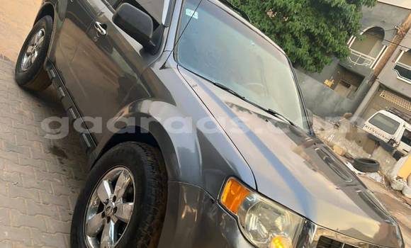 Acheter Occasion Voiture Ford Escape Other à Dakar, Dakar Acheter Occasion Voiture Ford Escape Other à Dakar, Dakar