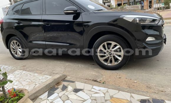 Buy Import Hyundai Tucson Black Car in Dakar in Dakar Buy Import Hyundai Tucson Black Car in Dakar in Dakar