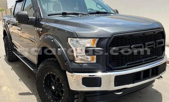 Acheter Occasion Voiture Ford F–150 Gris à Dahra, Louga