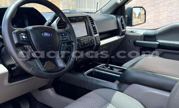 Dieundeu Occasion Ford F–150 Silver Auto in Dahra in Louga Dieundeu Occasion Ford F–150 Silver Auto in Dahra in Louga