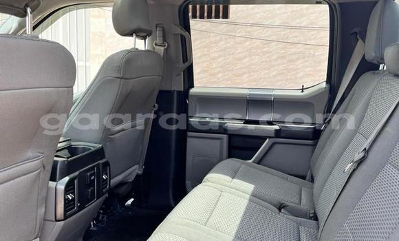 Dieundeu Occasion Ford F–150 Silver Auto in Dahra in Louga Dieundeu Occasion Ford F–150 Silver Auto in Dahra in Louga