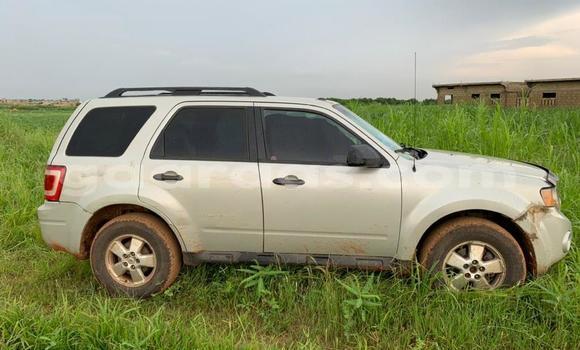 Acheter Occasion Voiture Ford Escape Autre à Mbour, Thies Acheter Occasion Voiture Ford Escape Autre à Mbour, Thies