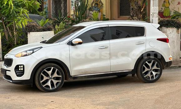 Buy Import Kia Sportage White Car in Dakar in Dakar Buy Import Kia Sportage White Car in Dakar in Dakar