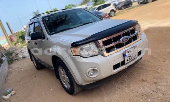 Dieundeu Occasion Ford Escape White Auto in Dakar in Dakar Dieundeu Occasion Ford Escape White Auto in Dakar in Dakar