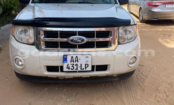 Dieundeu Occasion Ford Escape White Auto in Dakar in Dakar Dieundeu Occasion Ford Escape White Auto in Dakar in Dakar