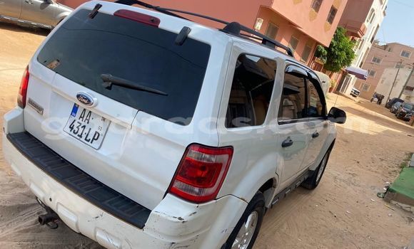 Dieundeu Occasion Ford Escape White Auto in Dakar in Dakar Dieundeu Occasion Ford Escape White Auto in Dakar in Dakar