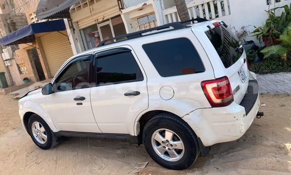 Dieundeu Occasion Ford Escape White Auto in Dakar in Dakar Dieundeu Occasion Ford Escape White Auto in Dakar in Dakar