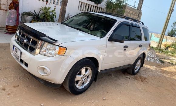 Dieundeu Occasion Ford Escape White Auto in Dakar in Dakar Dieundeu Occasion Ford Escape White Auto in Dakar in Dakar