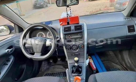 Buy Used Toyota Corolla Other Car in Dakar in Dakar Buy Used Toyota Corolla Other Car in Dakar in Dakar